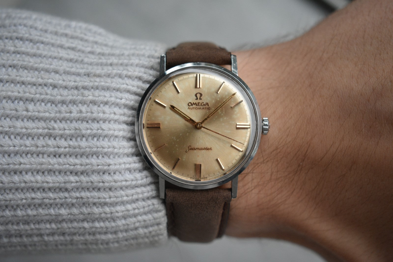 02e72b5f-8456-40b9-83e6-e50e5f72891b