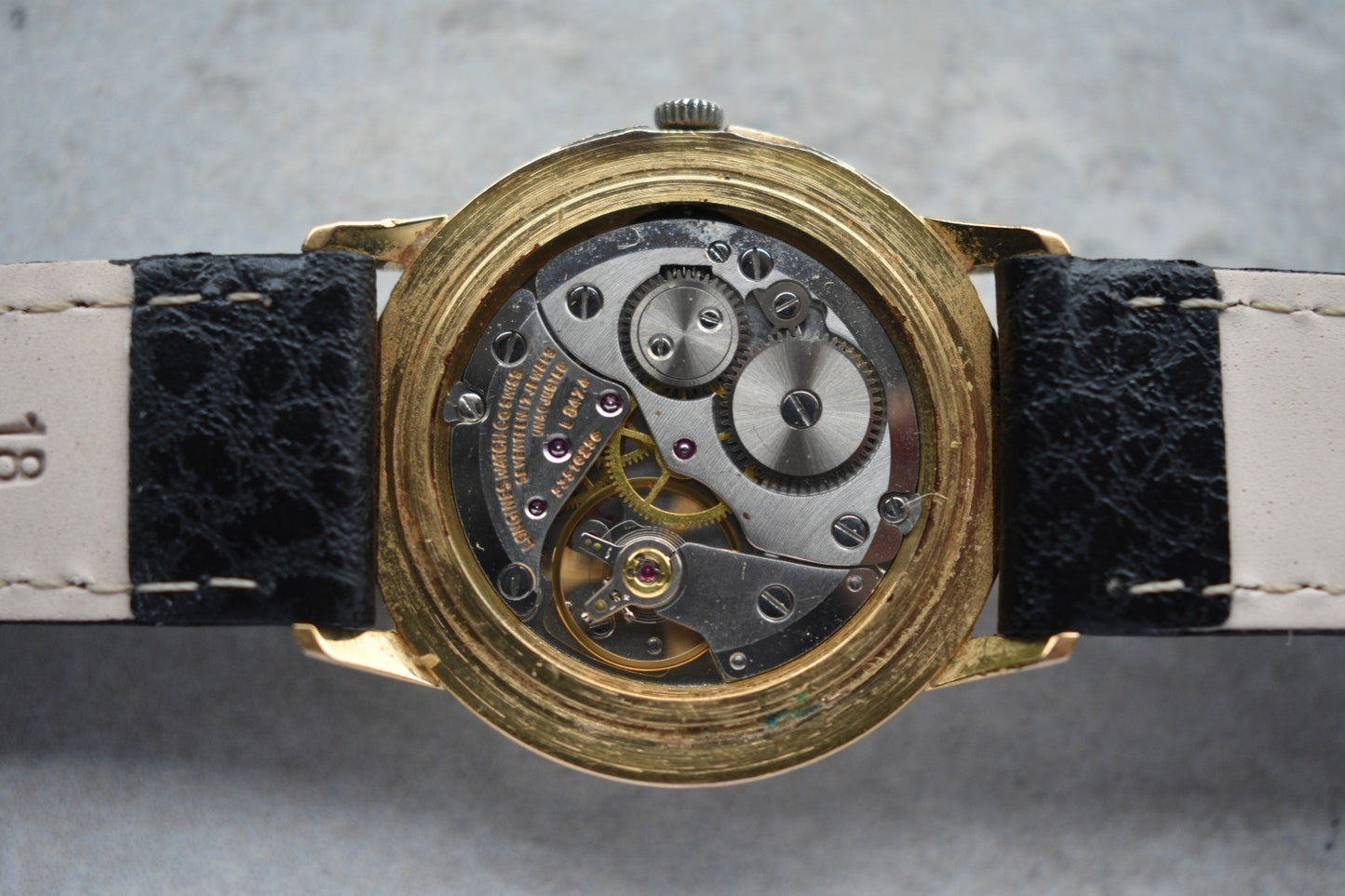 772d72a3-1acb-4842-8325-84300176f9df