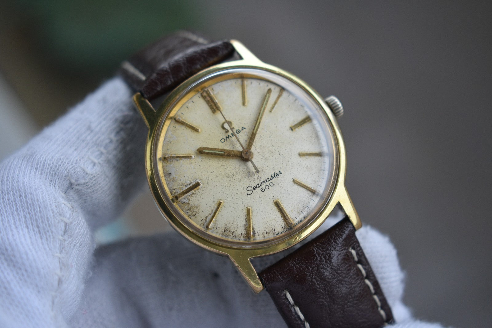 d9b6dace-28b5-443e-9ce6-eec0eef09405