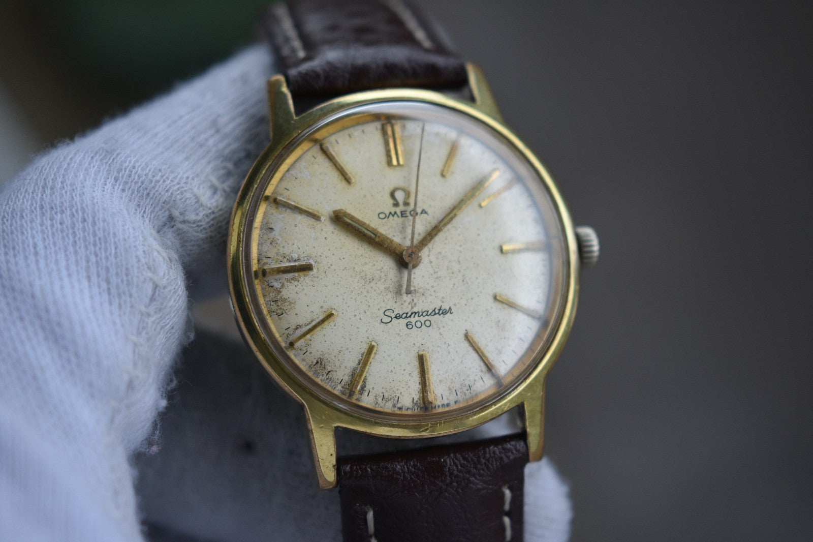 6d8b392a-0776-481b-ab99-87f0d5870ca0