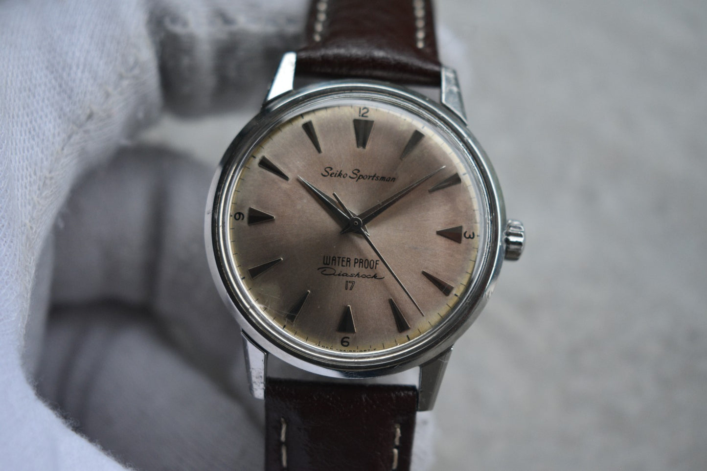 81d923ed-d492-404c-9187-1c66e632701f